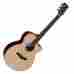 5036678012330 Undisclosed Faith Venus Hi-gloss Acoustic-electric Guitar With Hex Pickup And Case