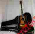 613795 D-41 Martin Sunburst 1997 Rare