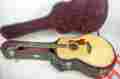 618e Taylor Demo 600 Series Model