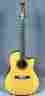 6773lx Op-pro 6773 Ovation Artist Model