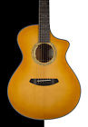 685450387255 Na Breedlove Legacy Concert Ltd Gloss Finish Lr Baggs Pickup Limited Edition