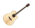 709951958292 Breedlove Stage Dreadnought Ce Rosewood Guitar