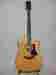 710ce Acoustic Fender Sfx Amp Taylor Acoustasonic 1997