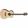 Gy93e 736021377400 Takamine New
