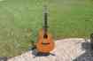 Ns74ce 74-ce Taylor Acoustic Electric