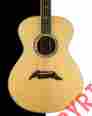 8.75934e Breedlove 25th Anniversary Concert Guitar Brazilian Rosewood Exc 875934007070