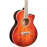 Ea55g-a 801128282473 Washburn Festival Guitar Koa Burst