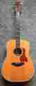 1110290131 810e-ltd Taylor 2010 Fall Limited Indian Rosewood Sitka Dreadnought