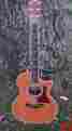814-bce Taylor 1999 25th Anniversary Brazilian