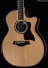 814-ce-dlx Taylor 814ce Deluxe 045
