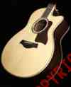 816ce Electric Taylor Performance Symphony High Package Guitar Acoustic Grand
