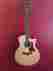 816ce-ltd Taylor Limited Edition Cocobolo Acoustic-electric Guitar