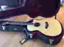 W14ce-limited 818a Taylor 2011 Walnut
