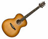 Te50evs 825362606802 Prs Se Tonare Guitar Vintage Sunburst Case