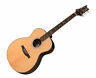 Te60ena 825362606857 Prs Se Tonare Guitar Natural Case