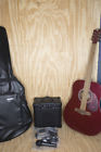 8733-11000 Randy Jackson Studio Series Electric Acoustic Guitar Microphone New