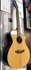 C250-sme-12 875934001344 Breedlove Guitars Passport