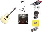 875934006189 Breedlove Pursuit Dreadnought Eb Ebony