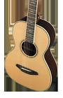 875934007261 Breedlove New Stage Parlor Limited