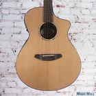 875934007506 Breedlove Guitars New Solo