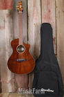 875934007520 Breedlove Pursuit Exotic Concert Ce
