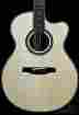 4238 8834 Tony Mcmanus Paul Reed Smith Prs Private Stock European Bearclaw