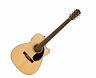 Cc-60sce 885978875610 Fender Concert Natural Rosewood Fb
