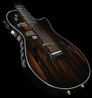 9105 Macassar Ebony Taylor Custom Shop Bto T5z Electric Guitar Stain 0887766055440