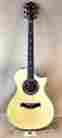 912-ce-l30 912ce Taylor Rare New Old Stock L30 30th Anniversary With Original Brown