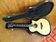 914-ce-l7 Taylor Hard-case