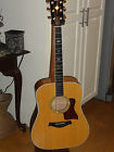 941118106 Taylor Acoustic Guitar 610