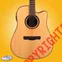 A75-dceh Solid Dreadnought Spruce Merida Electric Rosewood Acoustic Guitar