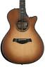 A90200161100458s261 Taylor Builders Edition Wild Honey Burst