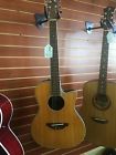 Aa13 Applause Ovation Minibowl Cutaway