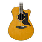 Ac1mvn Yamaha Small Body Acoustic