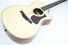 Ac308ce Eastman Ltd Grand Auditorium