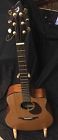 Ad25-sm Breedlove Acoustic Electric Guitar