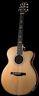 Ae-40-ena Paul Reed Smith Prs Se Angelus Guitar Natural Hard Case