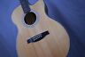 00825362604686 Ae55ebg Prs Se Electric Natural Black Gold Burst And 825362607229