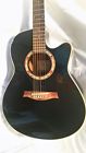 Aee18ebr1201 Ibanez String Rh Acoustic Electric Guitar With Hard Carrying Case