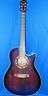 Aef18e-tvs-op-02 Ibanez Guitar Free Shipping