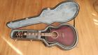 Aef30e-tvs Ibanez Acoustic Electric Guitar
