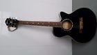 Aeg10-bk-14-03 Ibanez Black