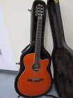 Aeg10ne-tng Ibanez Aeg10ne Orange Acoustic