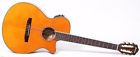 Aeg10niitng Ibanez Aeg10nii Classical Nylon 606559807239