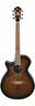 Aeg19liitib Ibanez Left Handed Guitar Tiger Burst 4549763175250