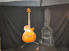 Aeg20e-vv-14-01 Ibanez String Acoustic Electric Guitar Carrying Case