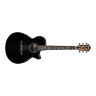Aeg550bk Ibanez Acoustic Electric Guitar Bocote Back And Sides 549763307910