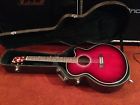 Ael20d-trs Ibanez Acoustic Electric Guitar