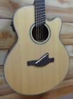 Aelff10-nt Ibanez New Aelff10 Multi 887802202401